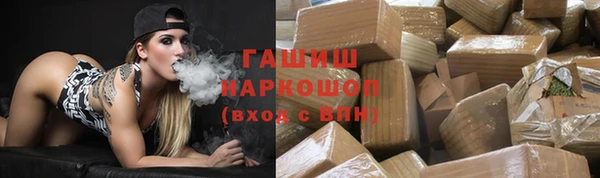 хмурый Аркадак