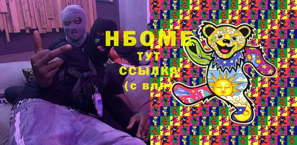 хмурый Аркадак