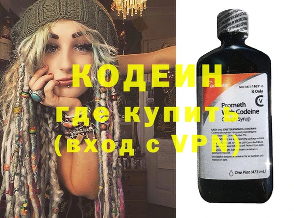 хмурый Аркадак