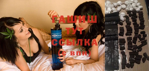 хмурый Аркадак