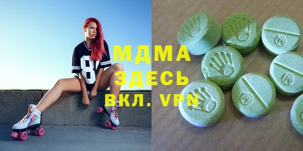 хмурый Аркадак